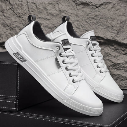 Alejandro | Baskets en cuir classiques